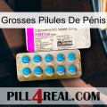Grosses Pilules De Pénis new07